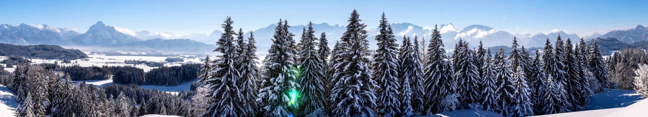 paysage-hiver-adobestock-300333890-2240