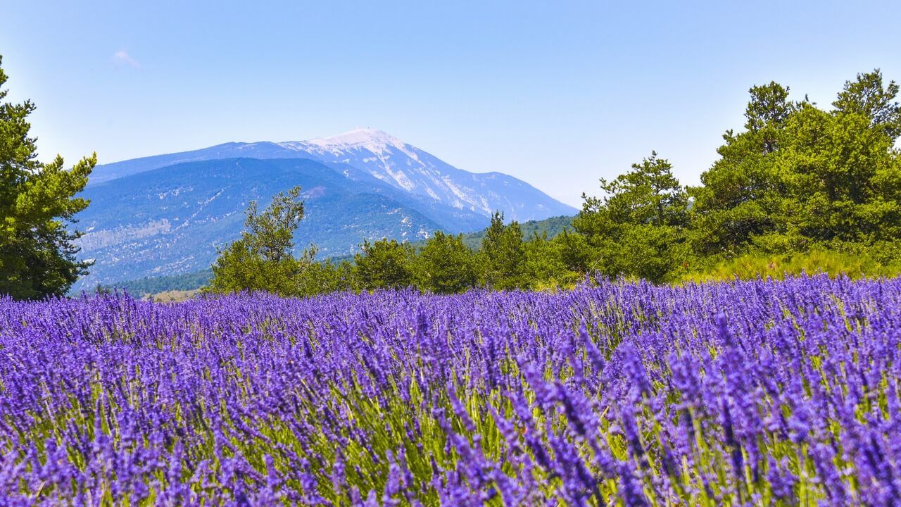 Vacances dans la Drôme provençale Vacances dans la Drôme provençale