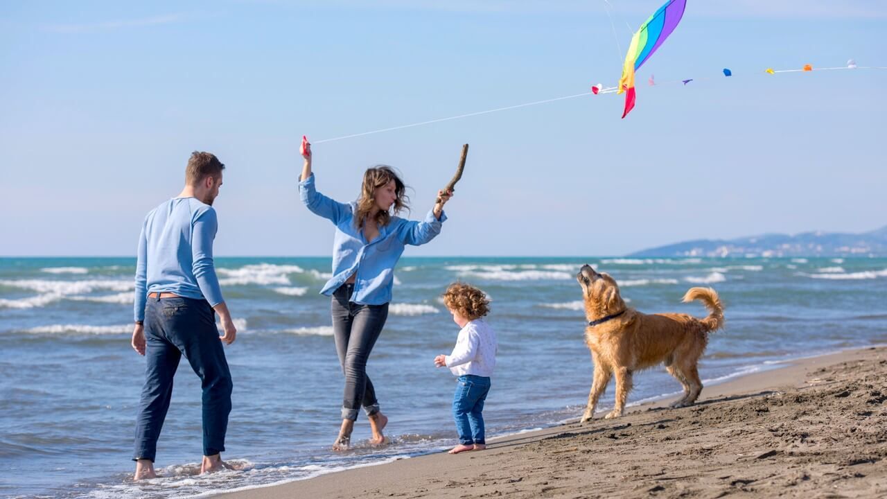 Amener mon chien en vacances, c'est possible !