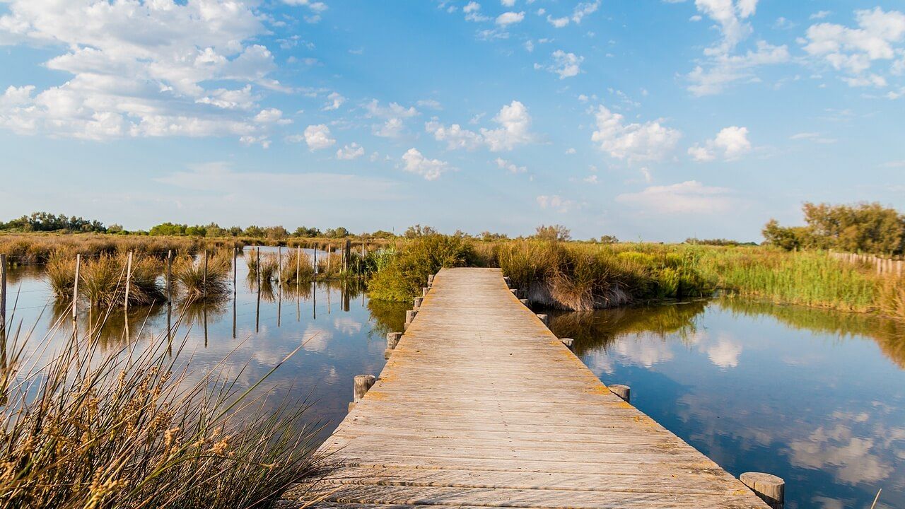 paysage-camargue-pixabay-2591534