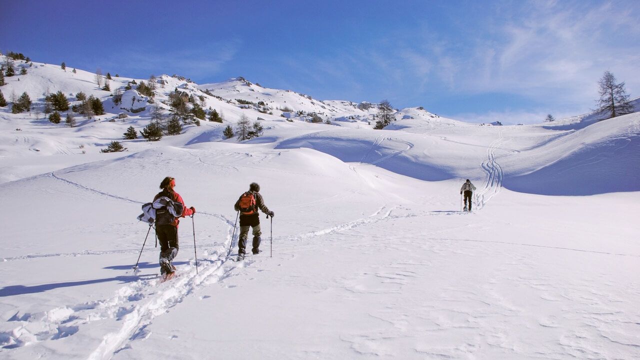 Les balades en raquettes